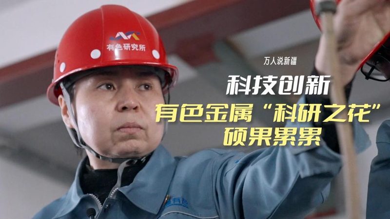 数据仓库报表开发流程：揭秘高效数据洞察的秘密武器
